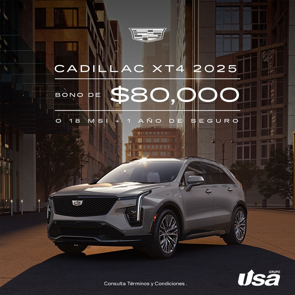 Nueva Envision 2024