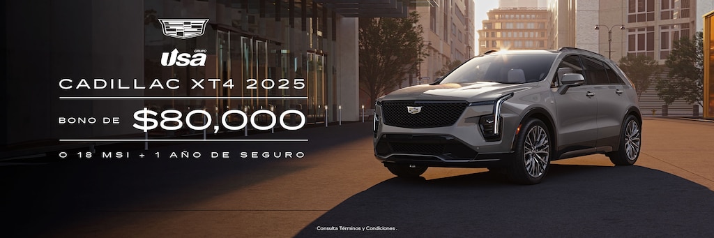 Nueva Envision 2024