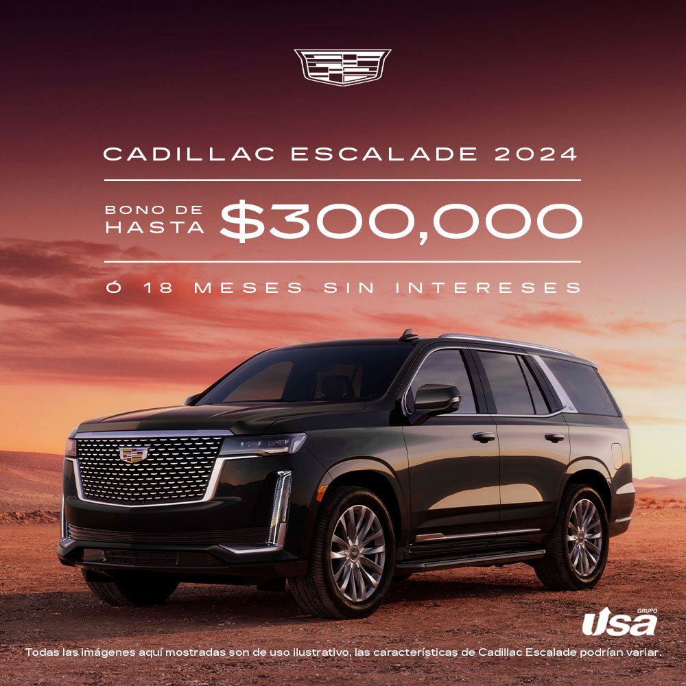 Nueva Envision 2024