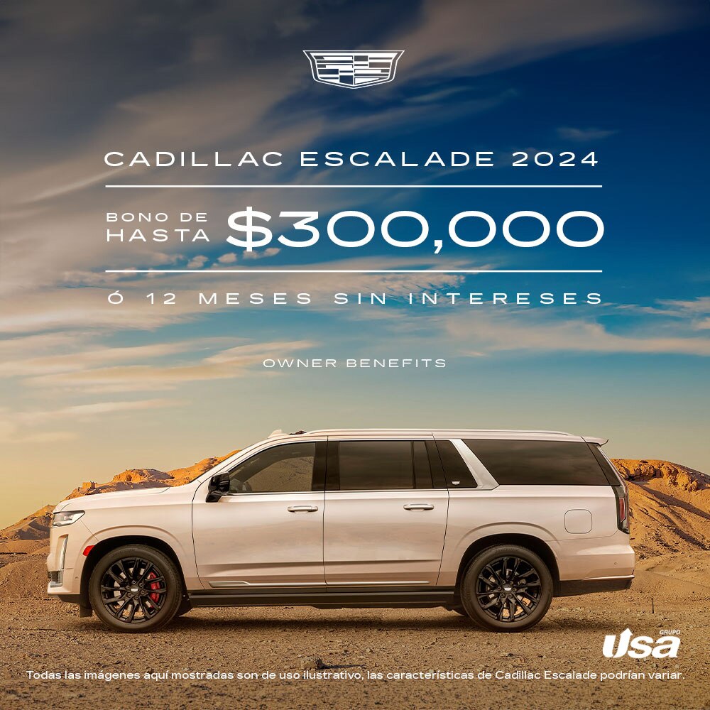 Nueva Envision 2024